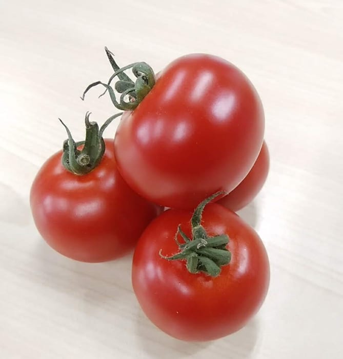【朝どれ】食べ出したら止まらない※おいし～甘～いトマ糖※フルティカ糖度９度以上※900ｇ